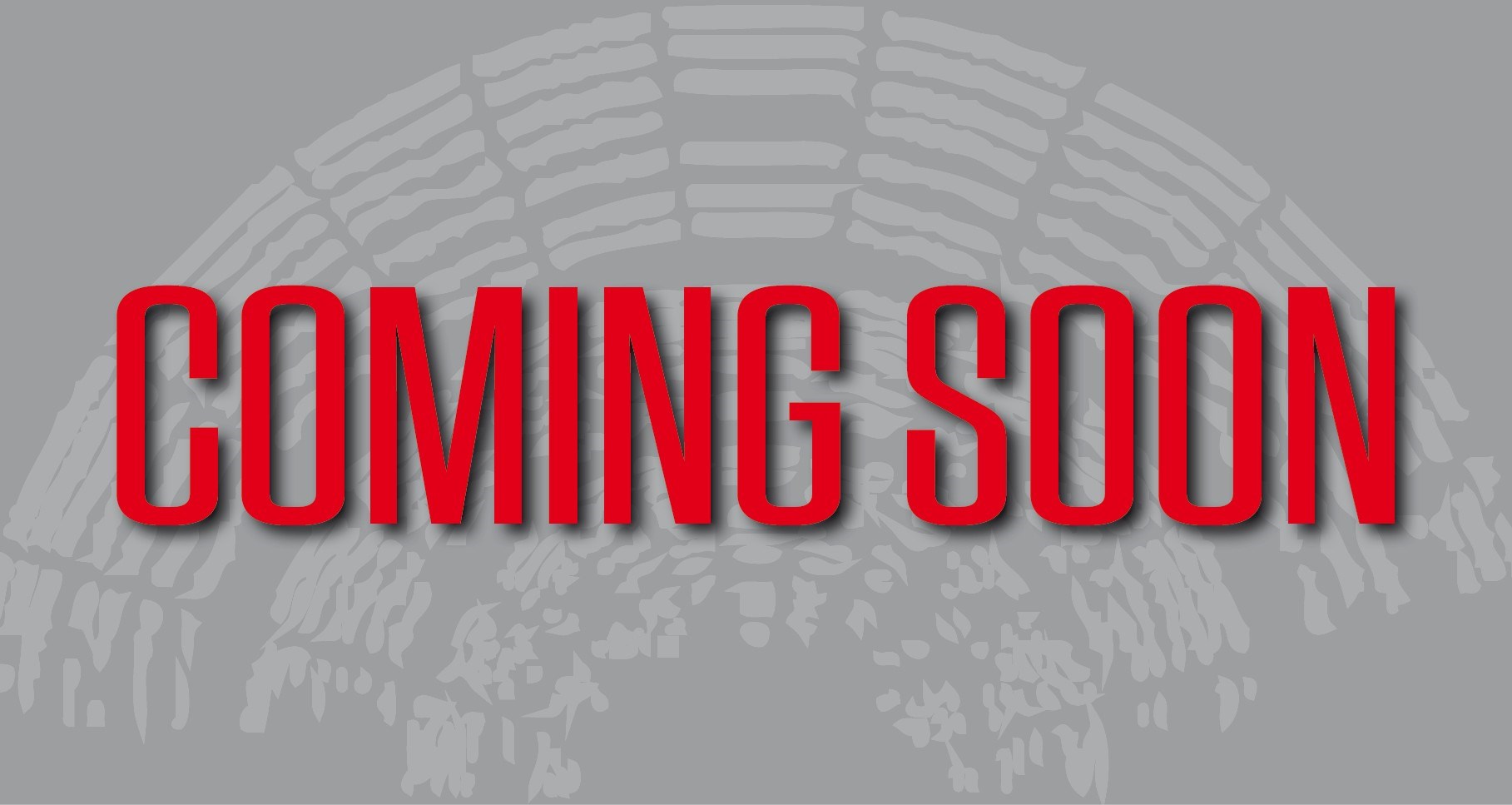 MF Insurance Awards 2026 