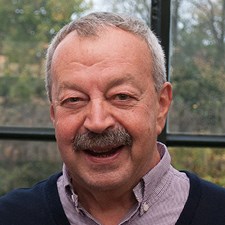Franco Bergamaschi