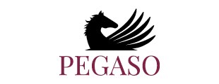Università Telematica Pegaso